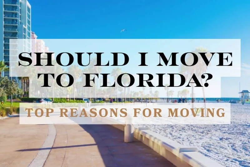 Should I Move To Florida? A beautiful beach walk and sunny skies in the background.